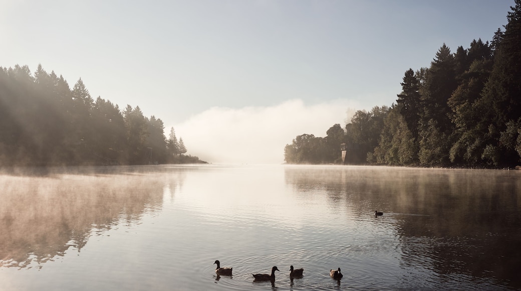 Morning fog over Willamette River seen from George Rogers Park in Lake Oswego, Oregon.