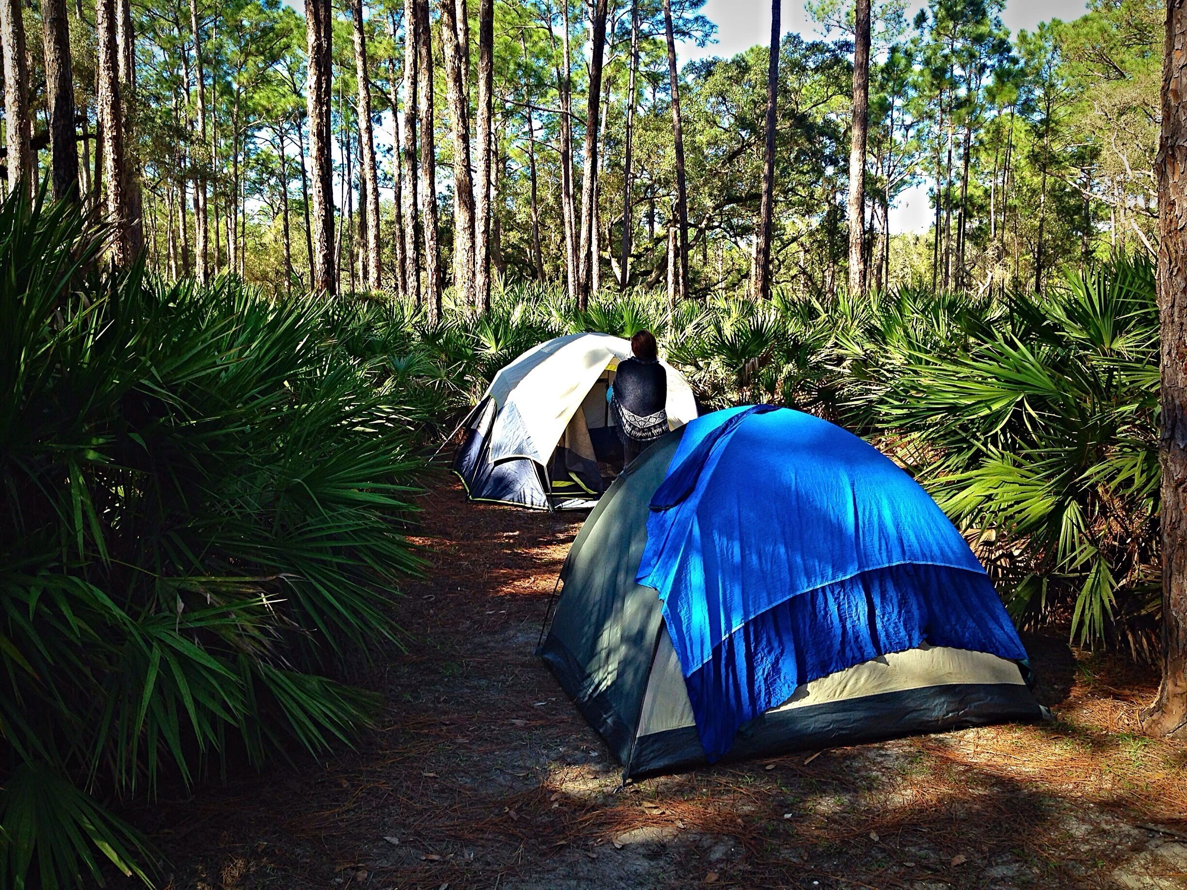 Great place to get away from the concrete jungle in Florida. Kissimmee state park has great camp sites and canoeing! #FloridaCamping #Adventure #nature #green #weekendgetaway