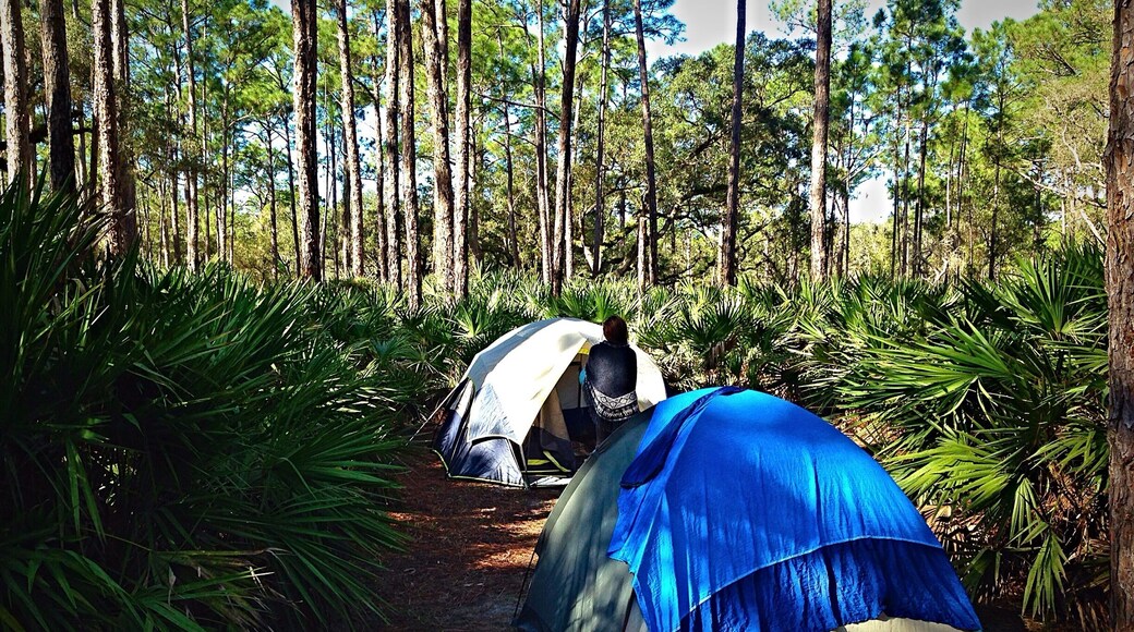 Great place to get away from the concrete jungle in Florida. Kissimmee state park has great camp sites and canoeing! #FloridaCamping #Adventure #nature #green #weekendgetaway