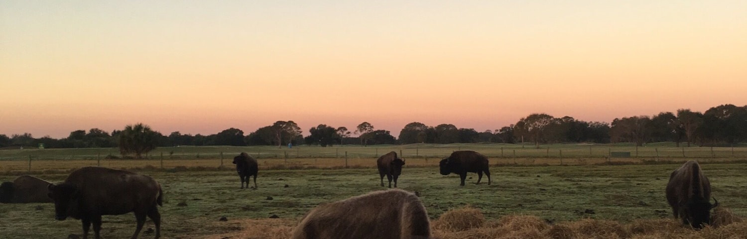 Westgate River Ranch, FL