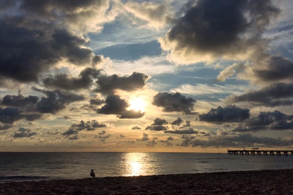 Una playa con un muelle que se adentra en el agua durante el atardecer.