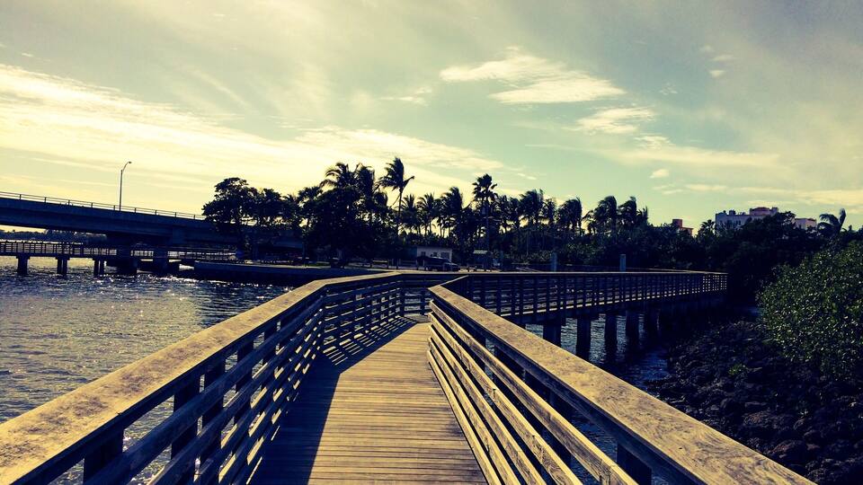 Beauty on the boardwalk. #Hiking