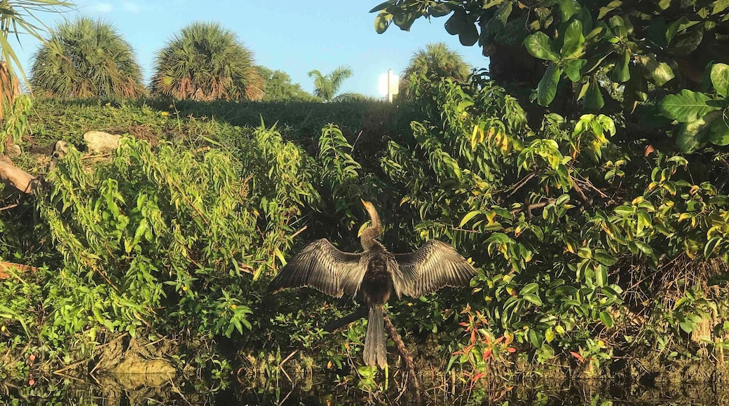 Nice spot to kayak or fish.