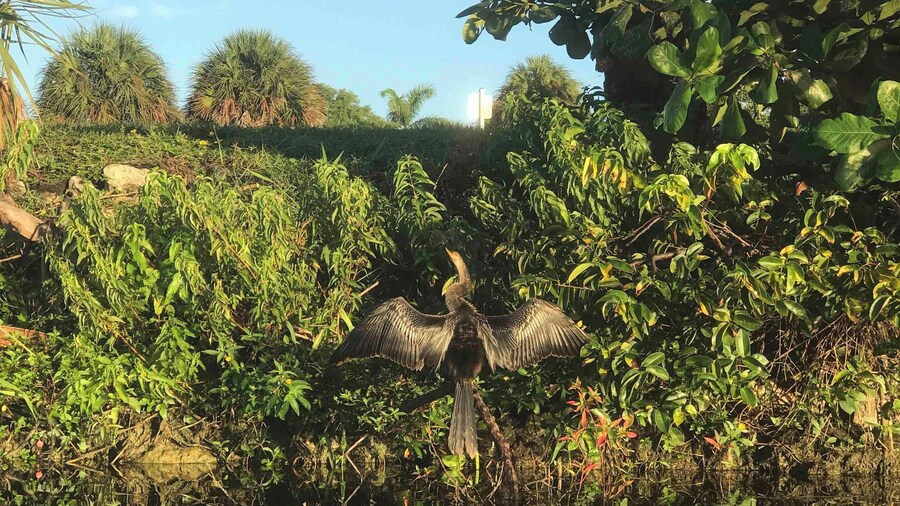 Nice spot to kayak or fish.