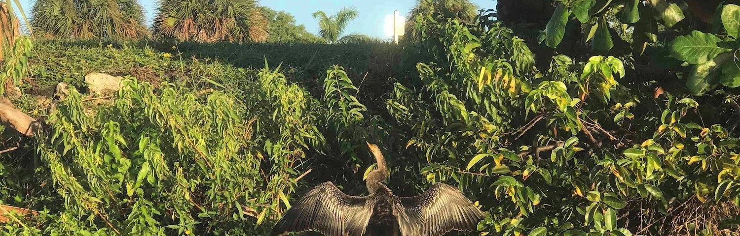 Nice spot to kayak or fish.