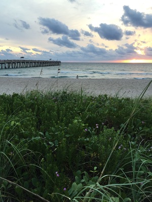Sunrise at The Lake Worth Pier #Bestof5