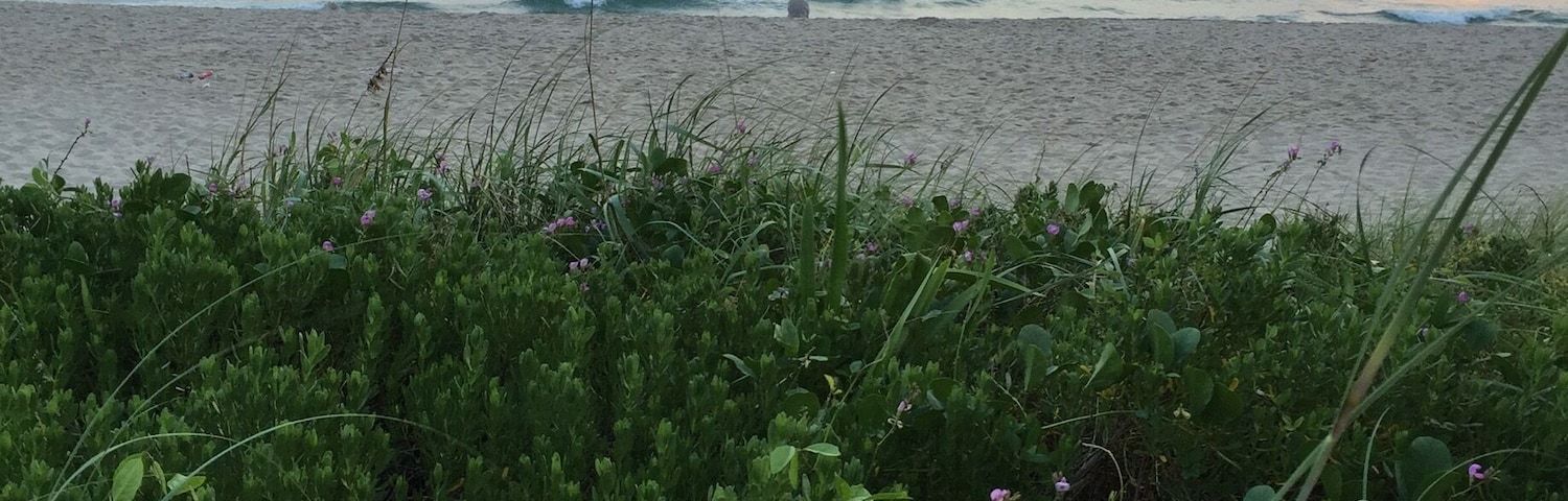 Sunrise at The Lake Worth Pier #Bestof5