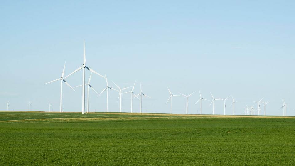 A wind farm with multiple wind turbines in a green field.