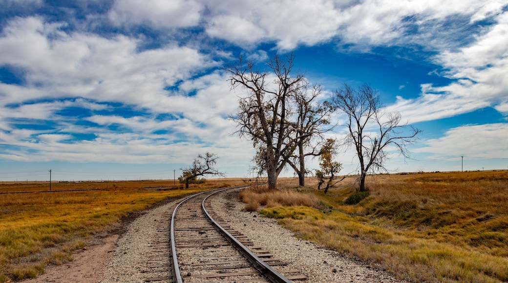 Curving Railroad Tracks Through Open Plains