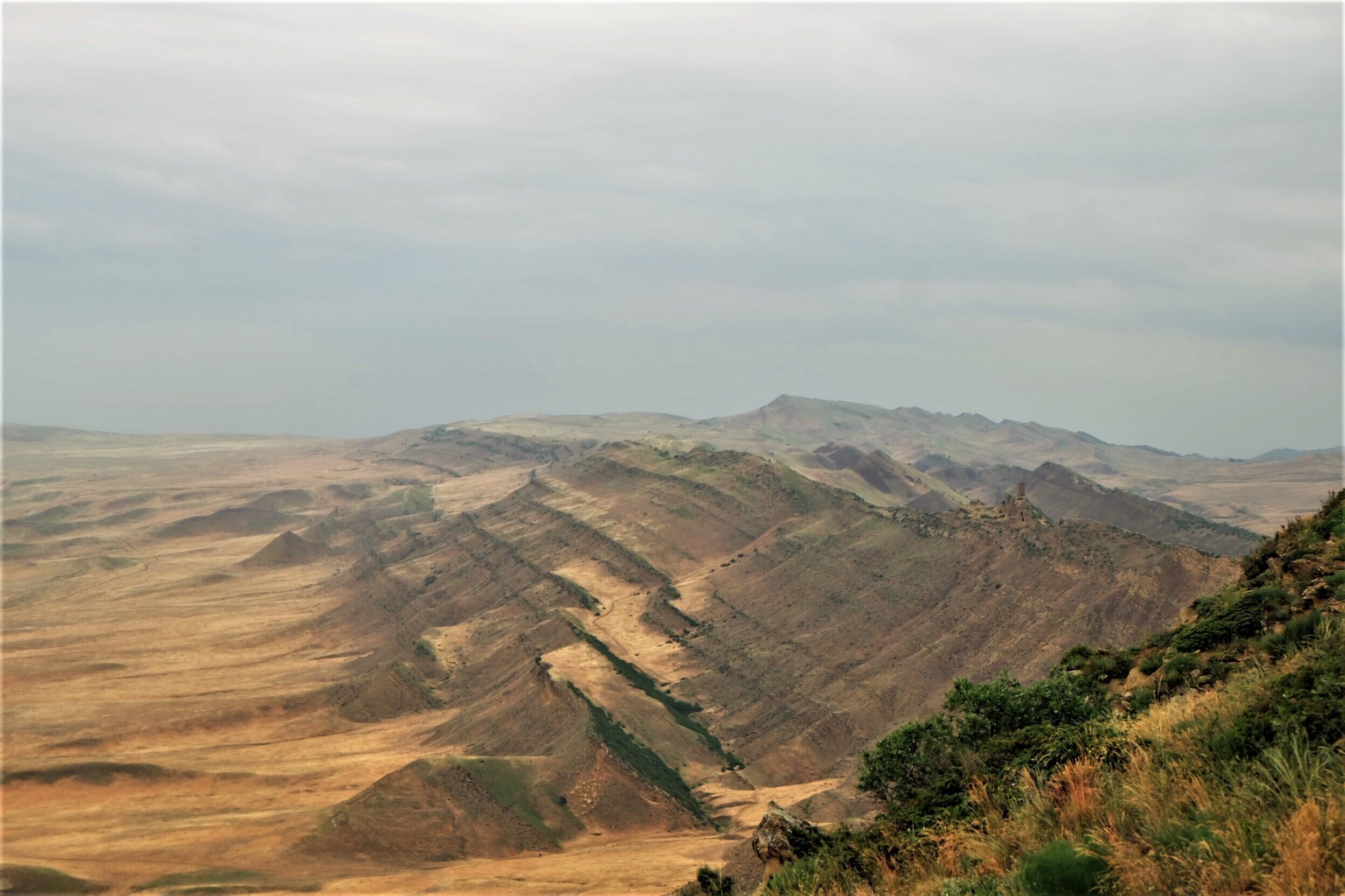 Gareji is a complex of monasteries just on the border of Georgia and Azerbaijan. You'll see many amazing landscapes and also an interesting piece of history. #golden