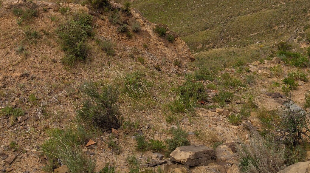 July 2010
Border of Georgia and Azerbaydzan near David Garedji monastery and Udabno... Lots of caves where orthodox Christian monks were living for centuries