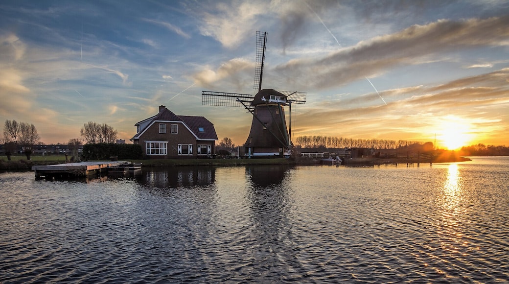 Het Joppe is wetland area about 10 minute bicycle ride out of Leiden.