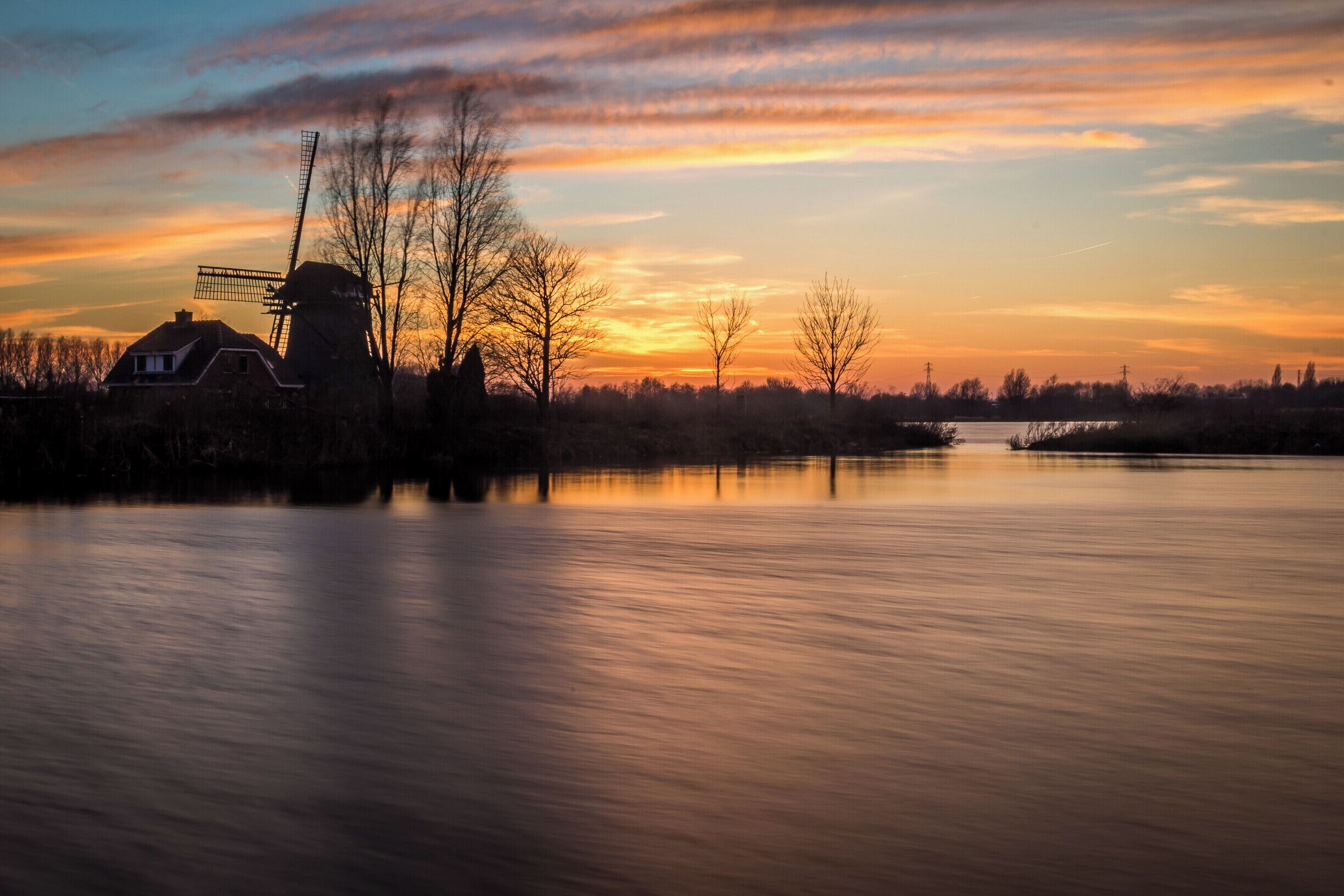 Het Joppe wetlands just out side of Leiden