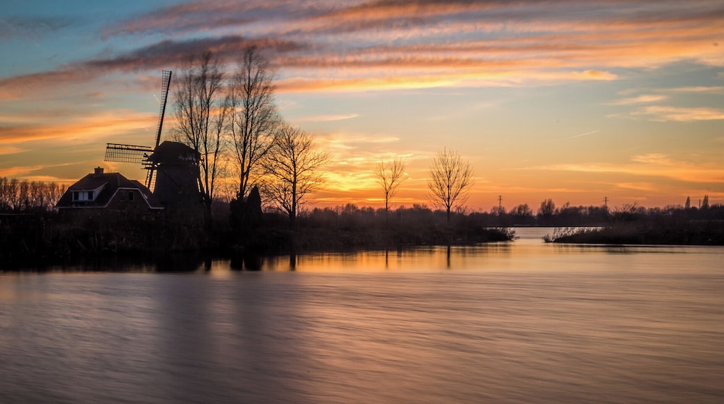 Het Joppe wetlands just out side of Leiden