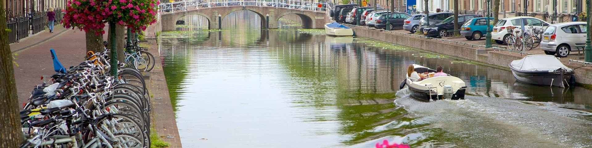 Leiden which includes street scenes, a river or creek and flowers