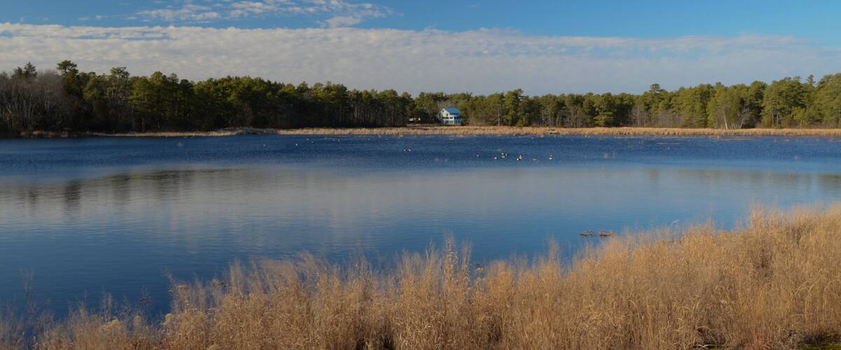 A calm lake with a house on the shore, surrounded by trees and tall grasses.