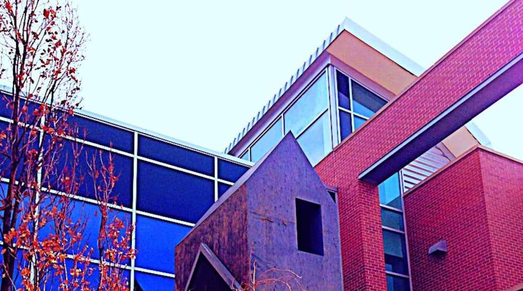 Cool feature in the courtyard.