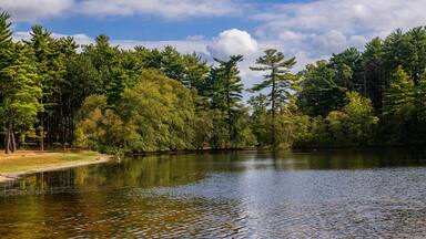 Ocean County Park Lake