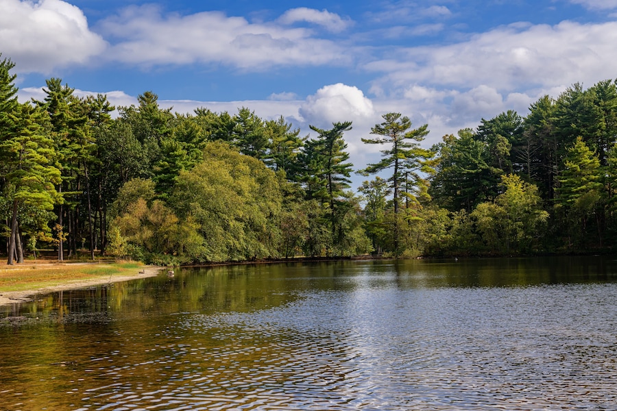 Ocean County Park Lake
