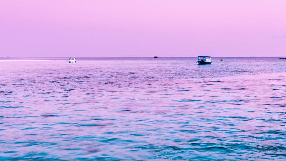 A calm sea with a thatched-roof hut and several boats.