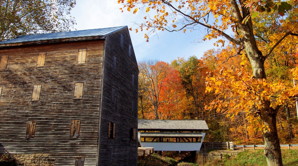 Stebelton Park at Rock Mill in Autumn, Lancaster, Ohio