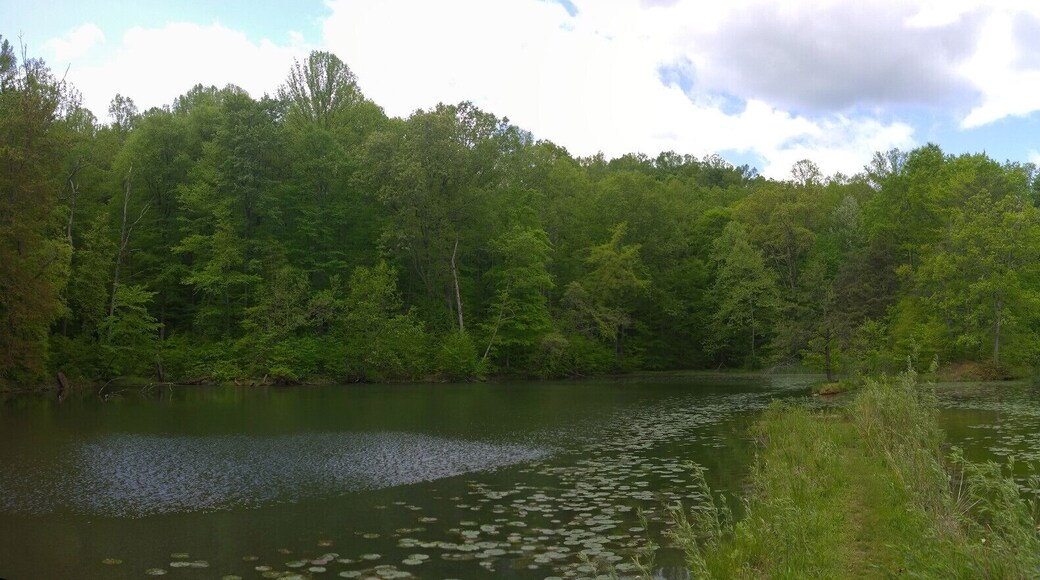 A view of twin lake inside Alley Park.
Charles Alley Nature Park is a 300 acre city park in Lancaster. The park features two lakes, a covered bridge, a nature center, and six miles of hiking trails.