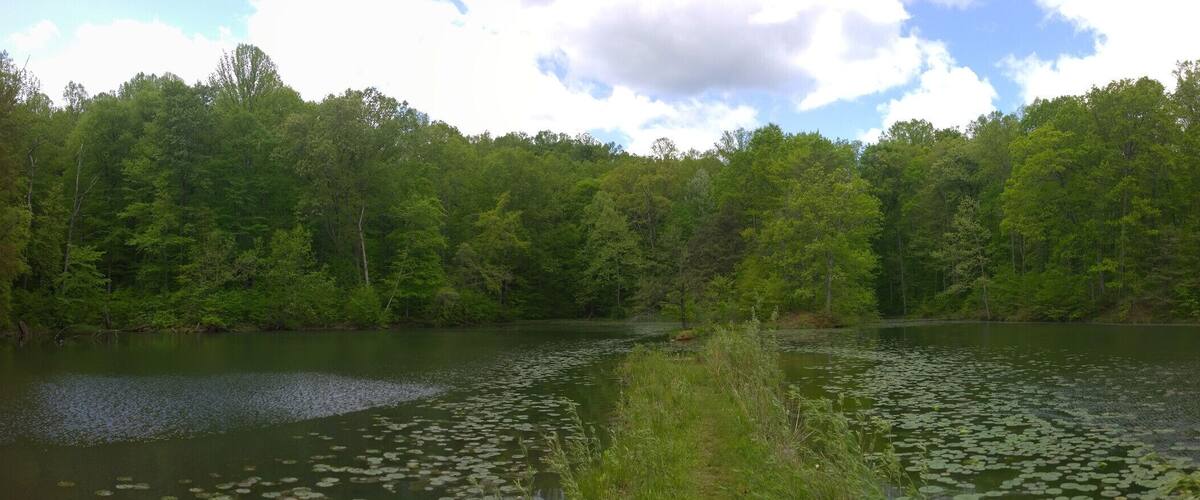 A view of twin lake inside Alley Park.
Charles Alley Nature Park is a 300 acre city park in Lancaster. The park features two lakes, a covered bridge, a nature center, and six miles of hiking trails.