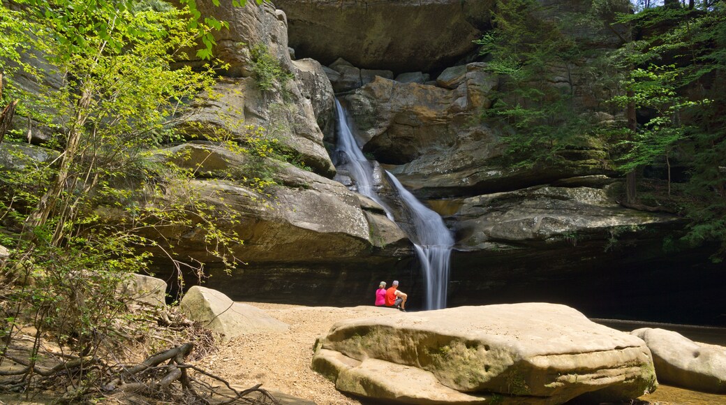 Enjoying Cedar Falls