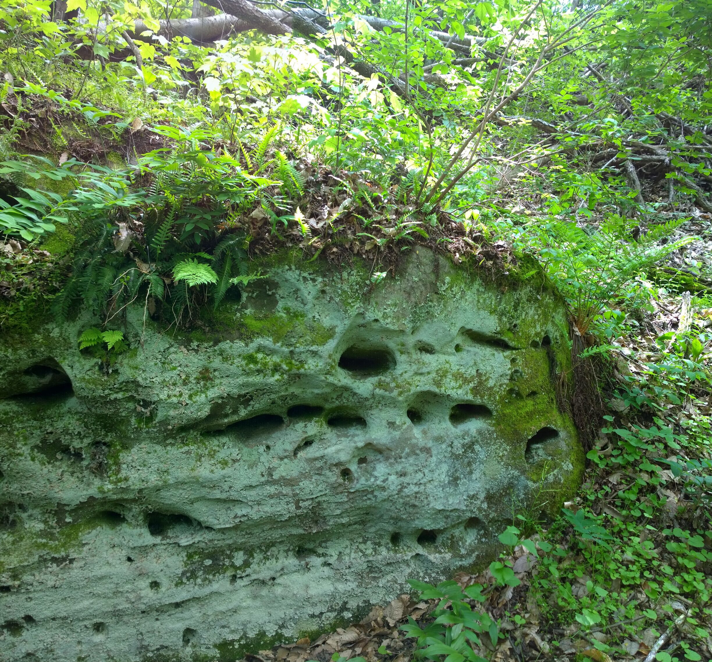 Charles Alley Nature Park is a 300 acre city park in Lancaster. The park features two lakes, a covered bridge, a nature center, and six miles of hiking trails.