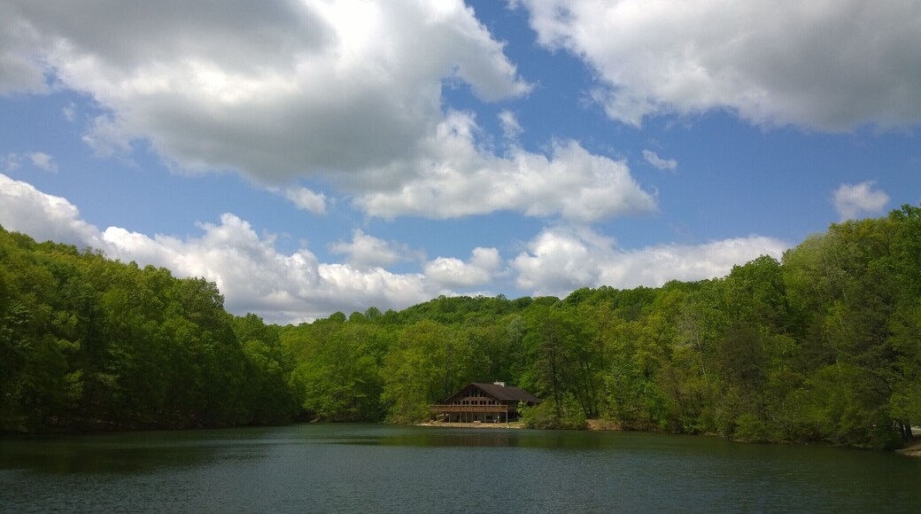 The #blue sky over the lake front nature center at Alley Park.
Charles Alley Nature Park is a 300 acre city park in Lancaster. The park features two lakes, a covered bridge, a nature center, and six miles of hiking trails.