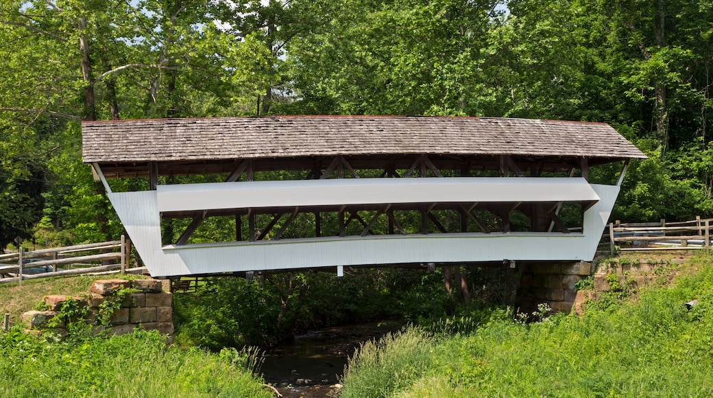 Covered Bridge at Mink Hollow