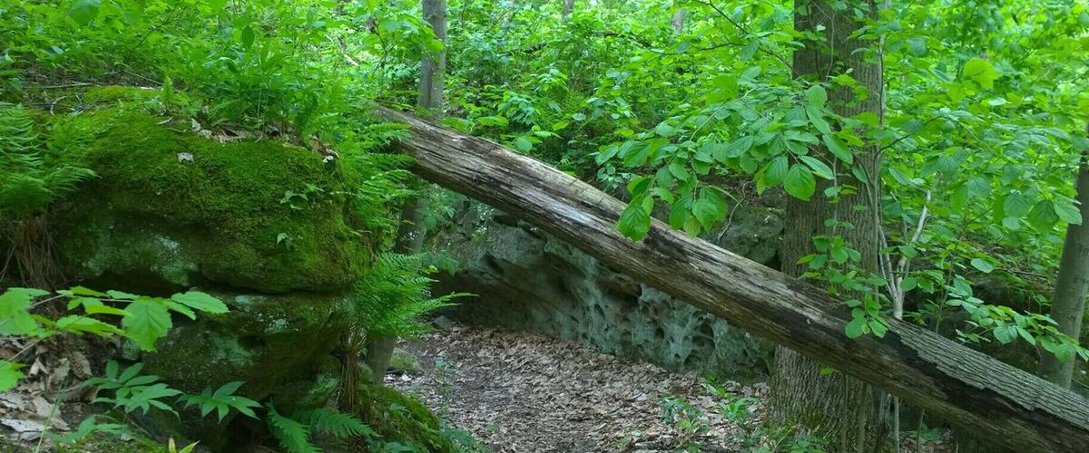 Charles Alley Nature Park is a 300 acre city park in Lancaster. The park features two lakes, a covered bridge, a nature center, and six miles of hiking trails.