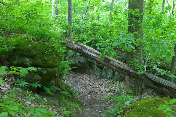 Charles Alley Nature Park is a 300 acre city park in Lancaster. The park features two lakes, a covered bridge, a nature center, and six miles of hiking trails.