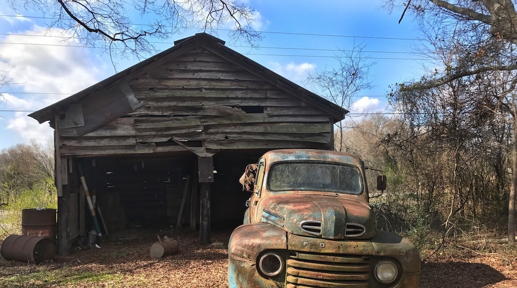 I found this just off of the 521 highway where an old barn was housing a very old Ford truck. But don’t look for it now because it’s gone