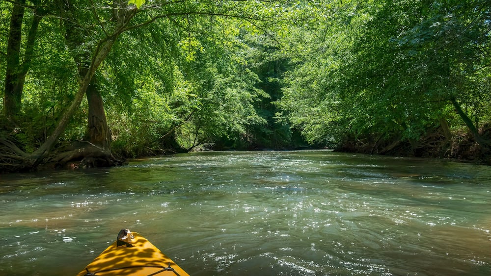 Kayaking on the Catawba River, Landsford Canal State Park, South Carolina