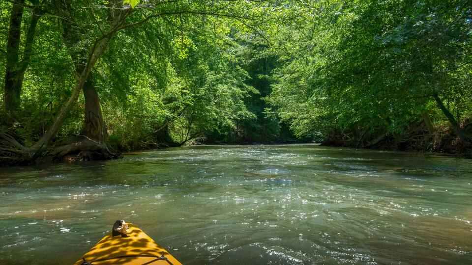 Kayaking on the Catawba River, Landsford Canal State Park, South Carolina