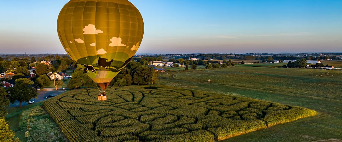 A hot air balloon over a field with a maze-like pattern.