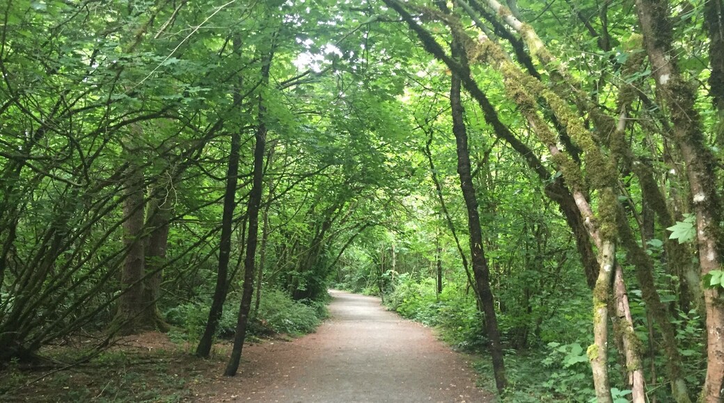 It was raining a bit when we pulled into the parking lot, however, the trees provided a canopy to protect us from the rain so we were able to stay dry and enjoy our walk.