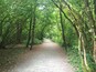 It was raining a bit when we pulled into the parking lot, however, the trees provided a canopy to protect us from the rain so we were able to stay dry and enjoy our walk.
