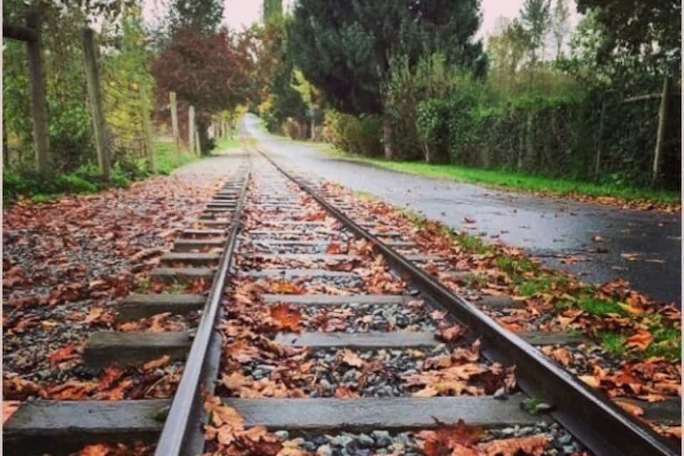 A railway track with fallen leaves and a road beside it.