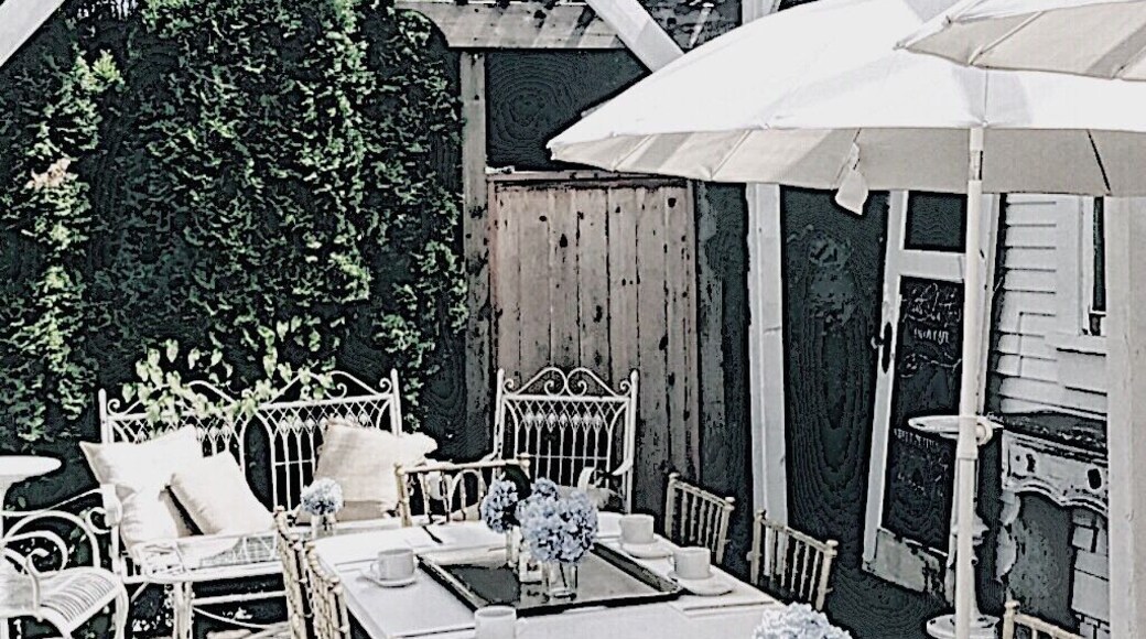 Lovely day spent here🐾