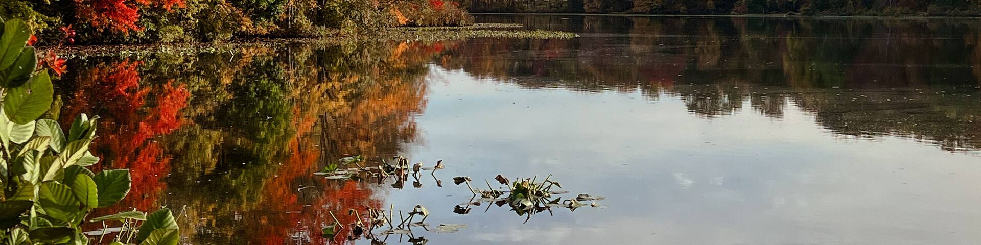 Autumn landscape with lake, trees and cloudy sky reflected in water. View of the Brainerd Lake in autumn in Cranbury, New Jersey, United States.