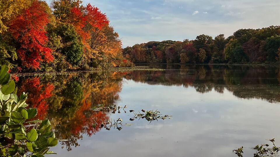 A calm lake with reflections of autumn trees and a clear sky.
