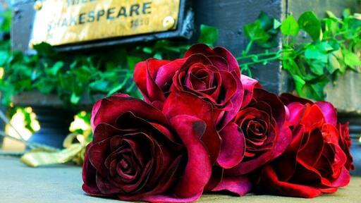 0_8027d7ec-b1ae-40be-9f9e-32c3c49eadea_raw