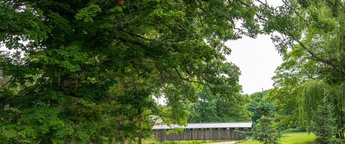 A rural landscape with a wooden barn, a pond, and lush greenery.
