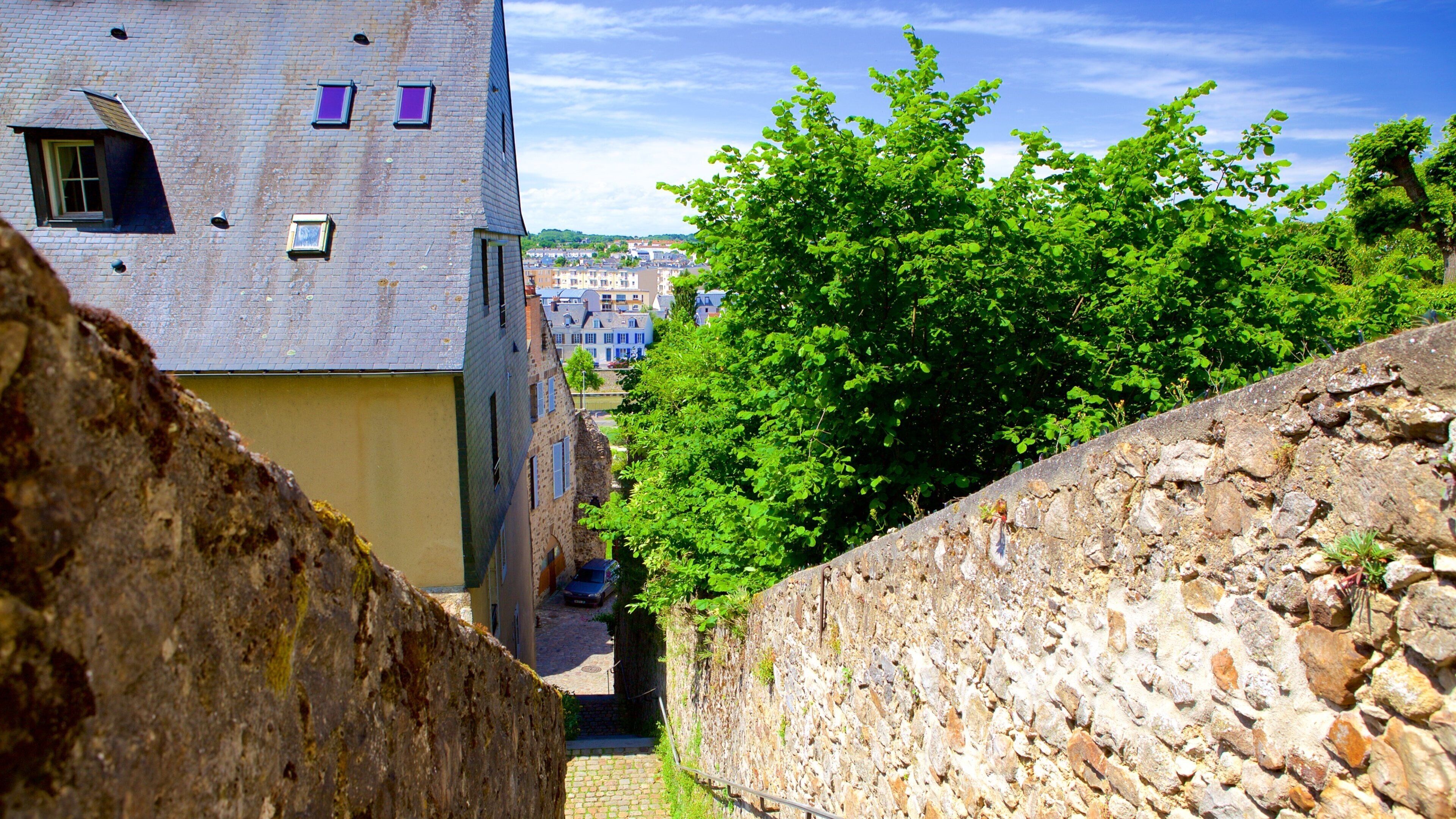 Le Mans ofreciendo una pequeña ciudad o pueblo