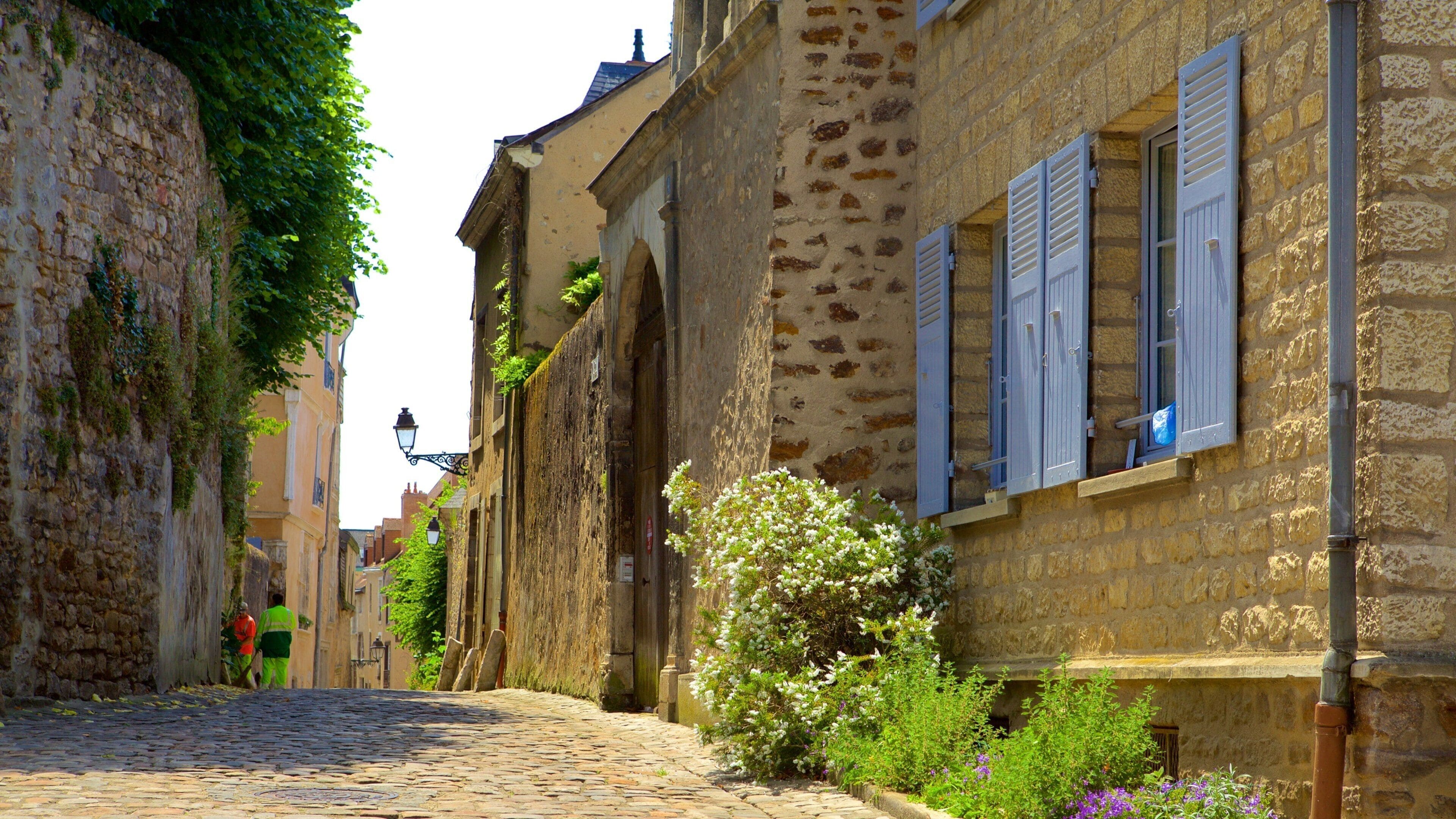 Le Mans featuring street scenes and heritage elements