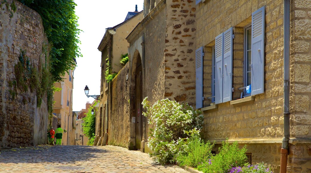 Le Mans showing heritage elements and street scenes