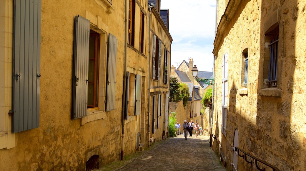 Le Mans montrant patrimoine historique
