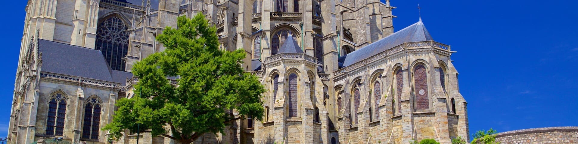 Le Mans which includes heritage elements, a church or cathedral and heritage architecture